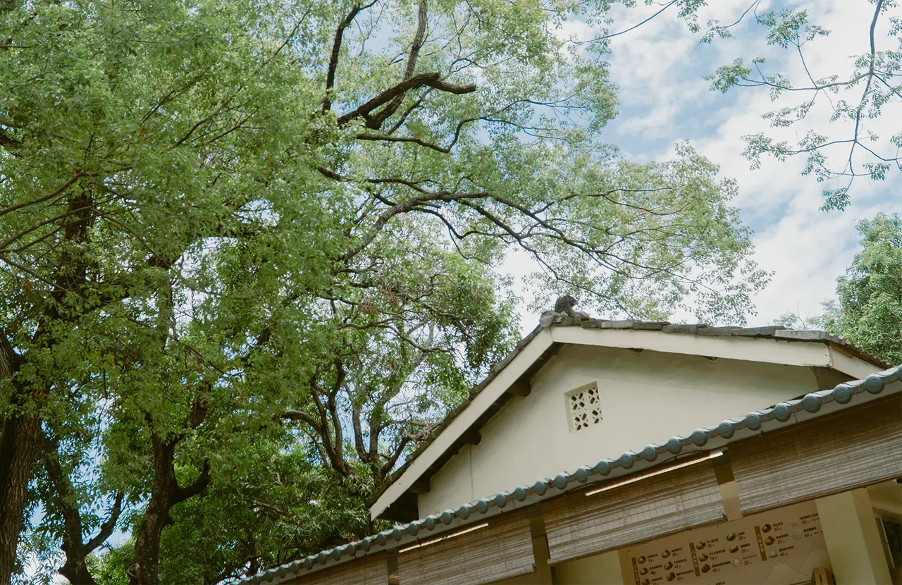高雄糖廠|日式宿舍群