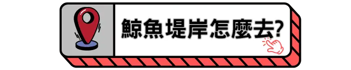 鯨魚堤岸怎麼去? 