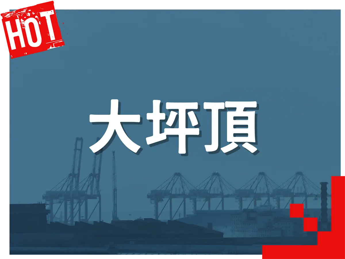 高雄大坪頂風景區｜夜景、步道與在地休閒去處