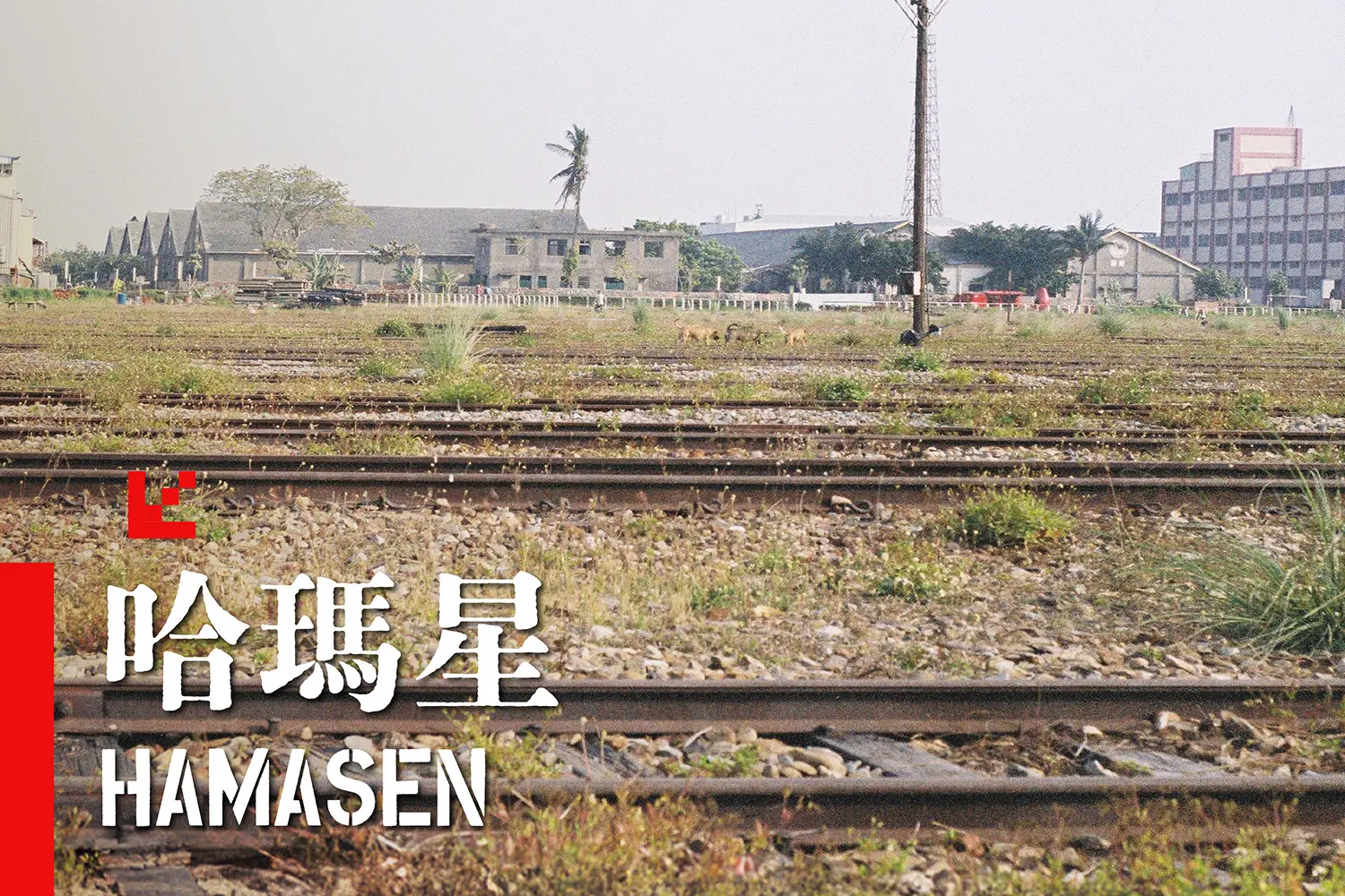 哈瑪星介紹｜高雄老街巷弄與駁二藝術特區延伸景點